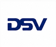 DSV Logo